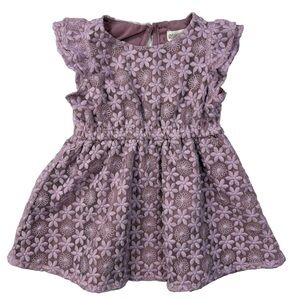 Gymboree Floral Lace Ruffle Cap Sleeve Baby Dress in Purple